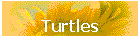 Turtles